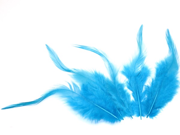 Перья Петуха голубые. 15 - 20 см. 5 шт.