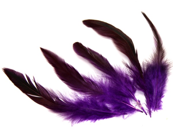 Перья Петуха фиолетовые. 10 - 15 см. 5 шт.