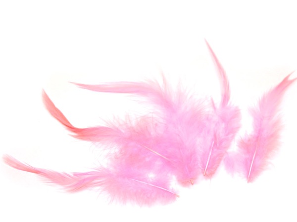 Перья Петуха розовые. 7 - 11 см. 5 шт.