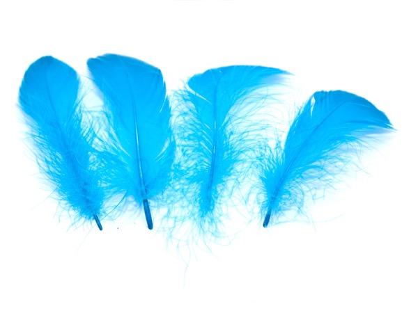 Перья Гуся голубые. 5 - 10 см. 5 шт.